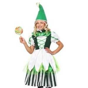 Munchkin Halloween Costume, green, size XL, By funcostumes.com, hat, great shape